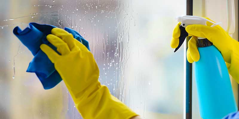 WINDOW CLEANING (2)